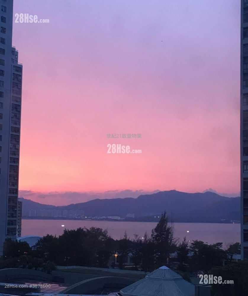 新港城 租盤 2 房 , 1 浴室 363 平方呎