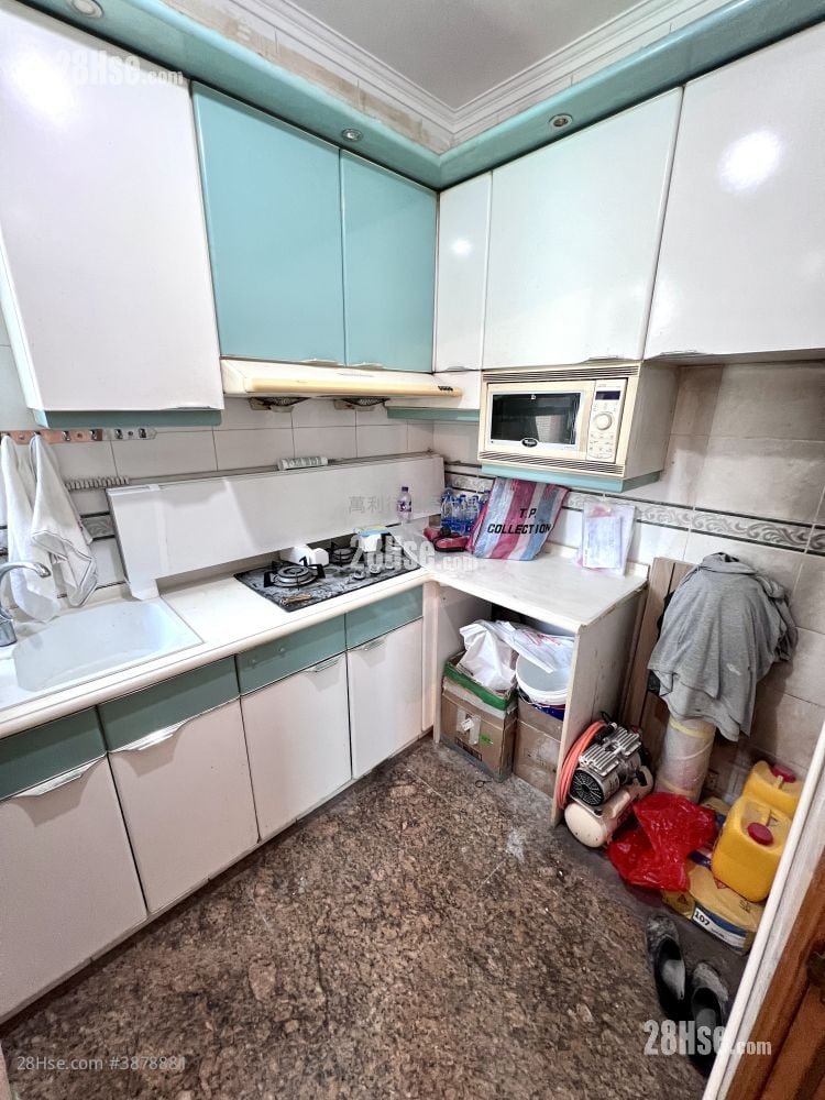 Botania Villa Rental 2 Bedrooms , 1 Bathroom 482 ft²