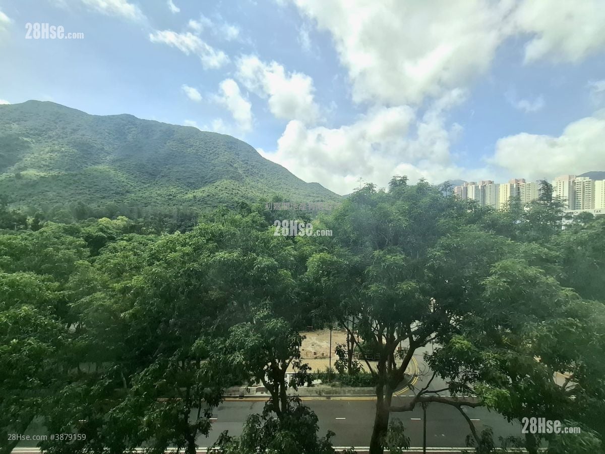 Coastal Skyline Rental 485 ft²