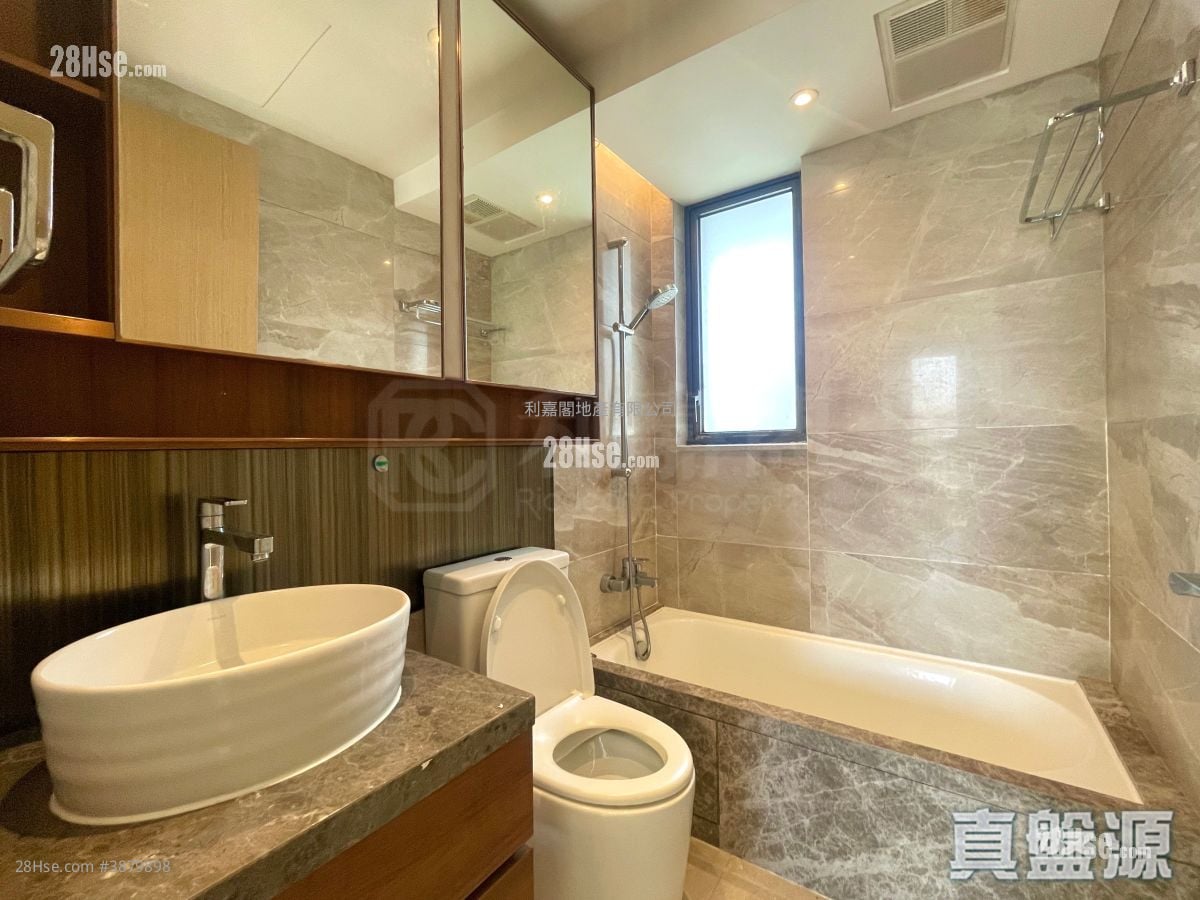 Vibe Centro Rental 539 ft²