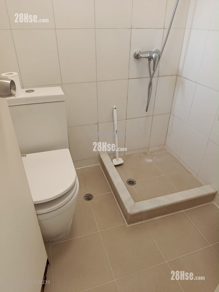 True Corse Tower Rental Studio 197 ft²