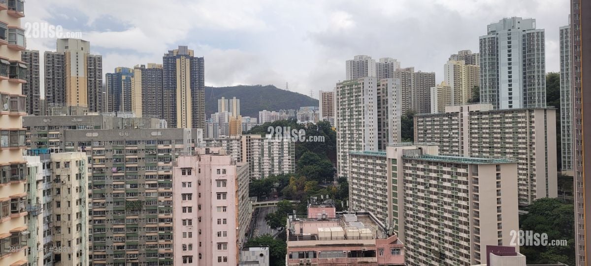 富丽花园 租盘 2 房 , 1 浴室 313 平方尺
