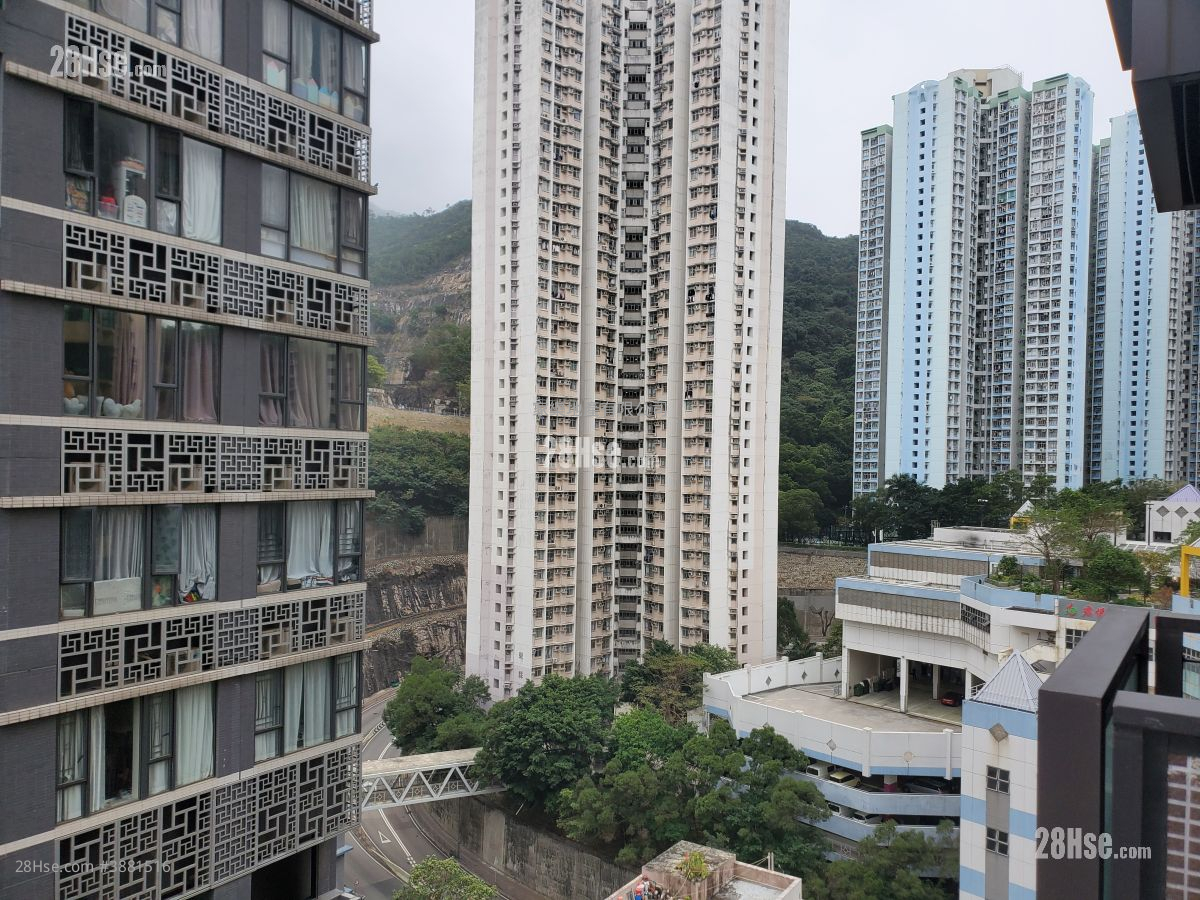 柏汇 租盘 开放式间隔 , 1 浴室 209 平方尺
