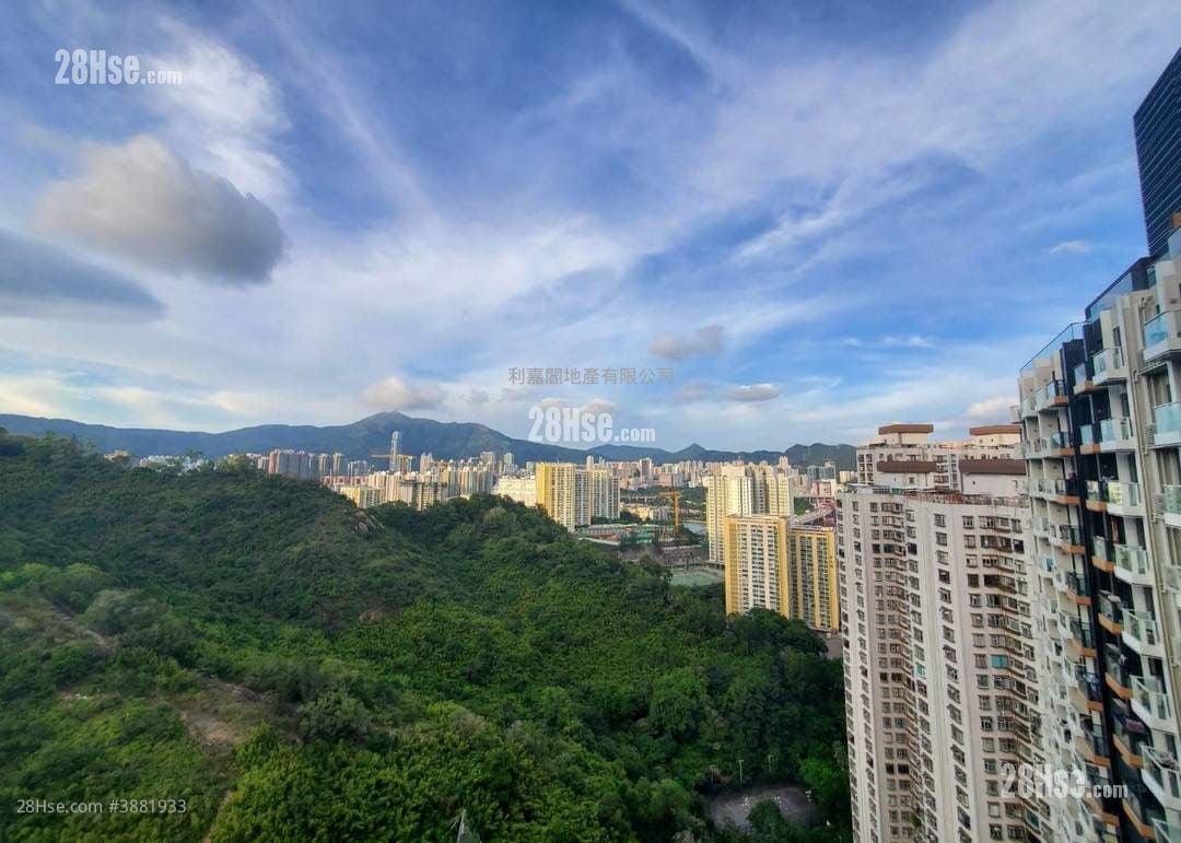 明翘汇 售盘 1 房 313 平方尺