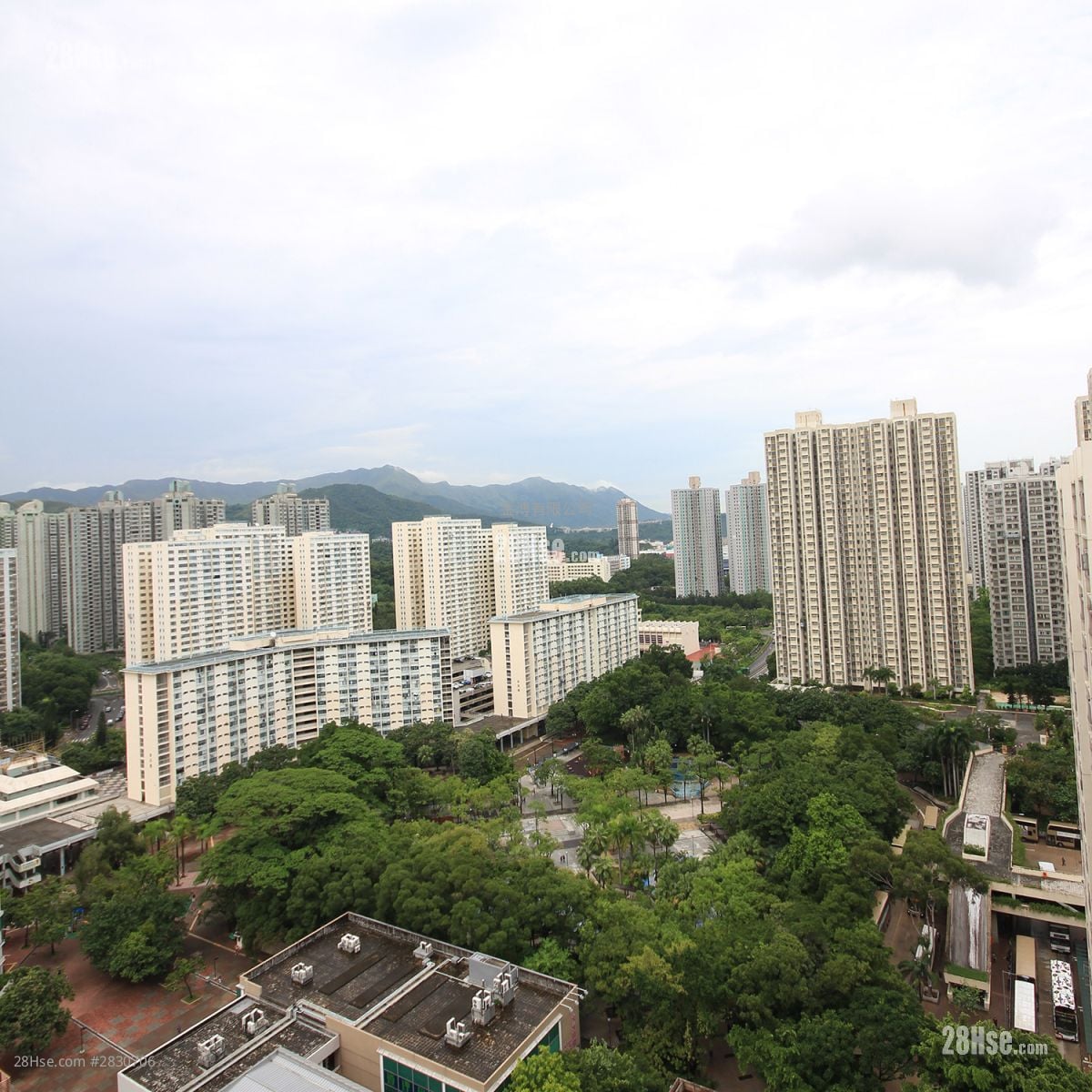 其它: 景觀