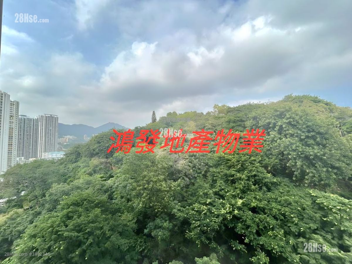 曉柏峰 租盤 1 房 , 1 浴室 247 平方呎