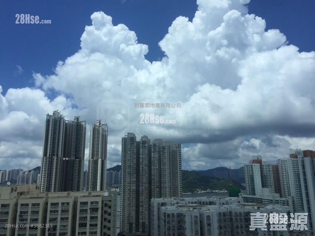 柏汇 租盘 1 房 , 1 浴室 328 平方尺