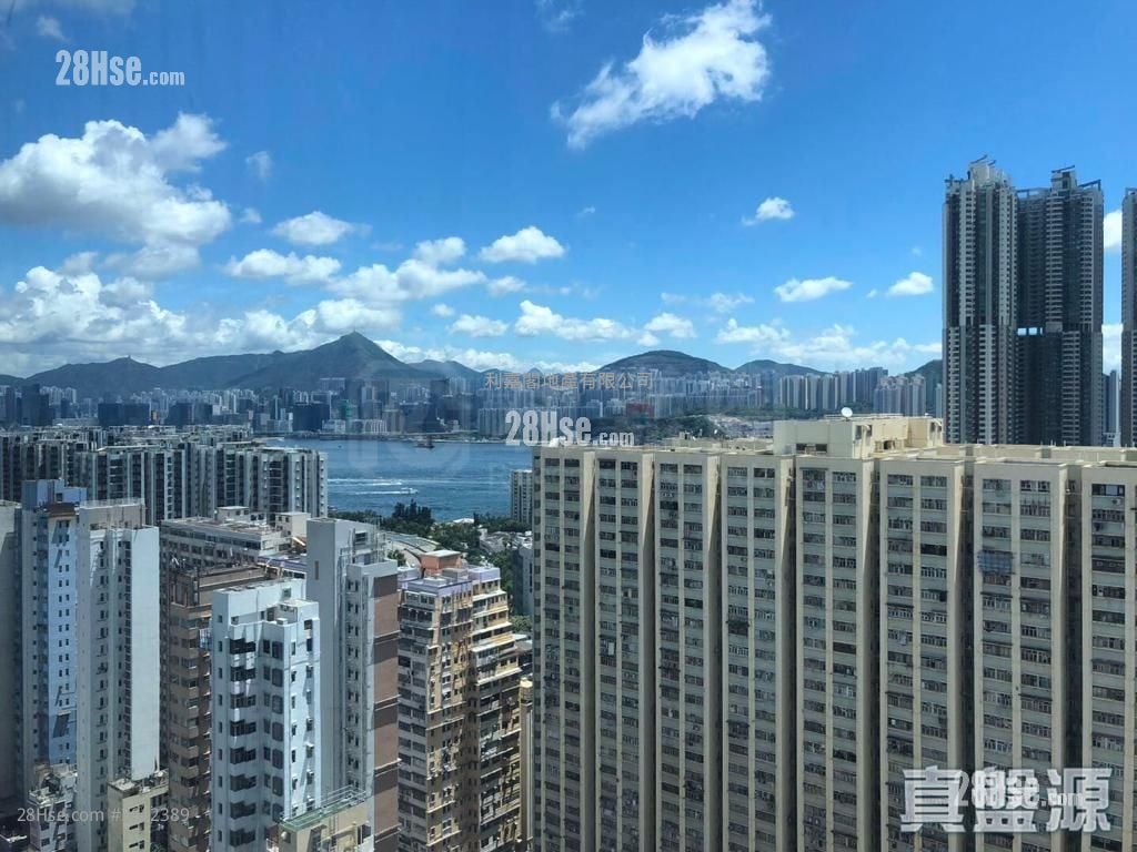 柏汇 租盘 1 房 , 1 浴室 328 平方尺