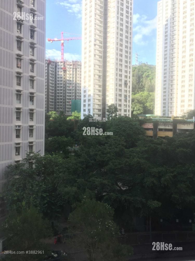 新丽花园 租盘 3 房 , 1 浴室 503 平方尺