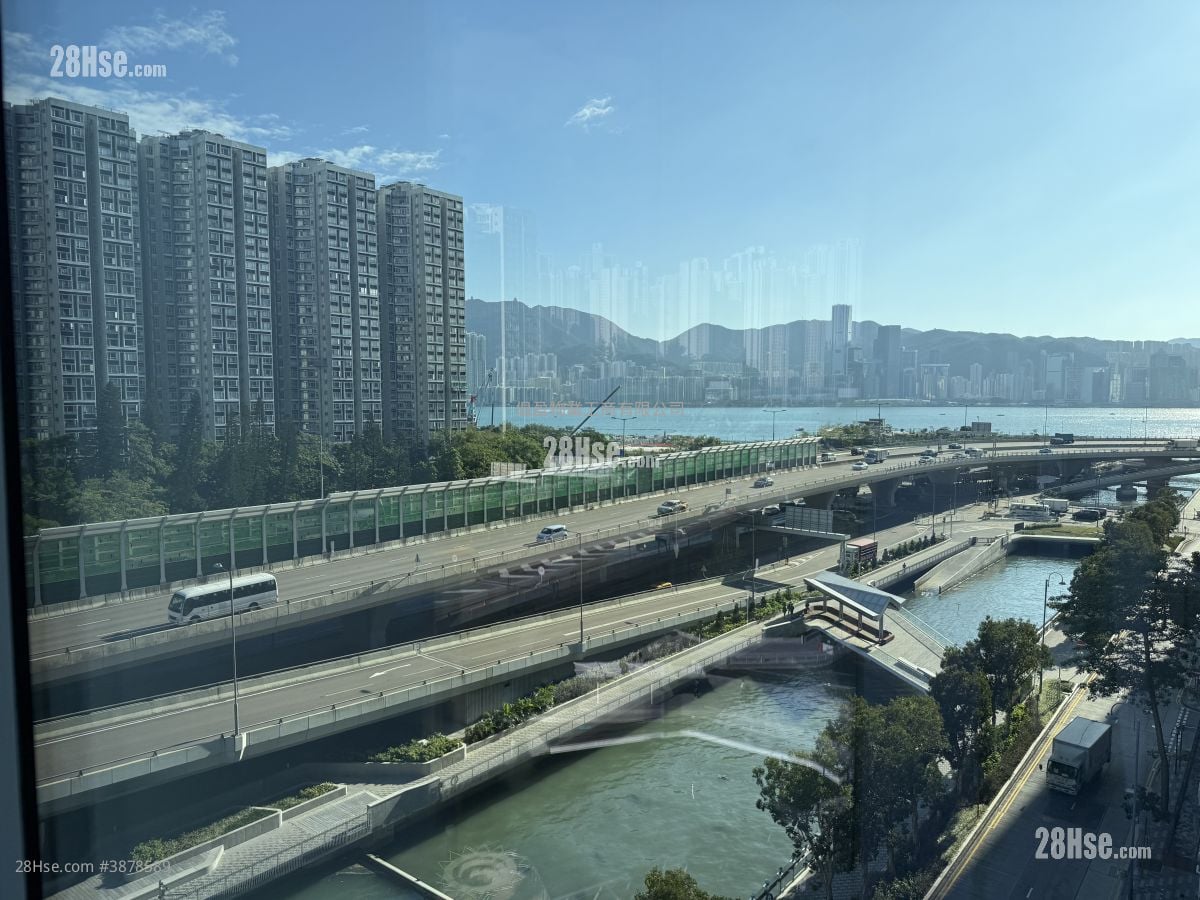 King Palace Plaza Rental