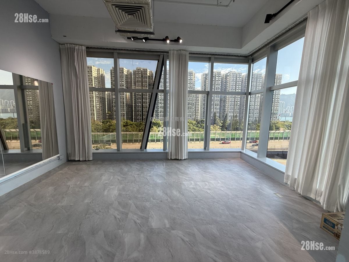 King Palace Plaza Rental