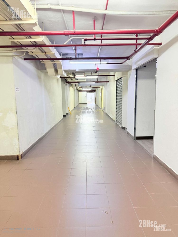 香港紗廠工業大廈6期 租盤 4 房 1,750 平方呎