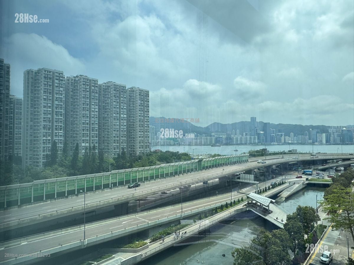 King Palace Plaza Rental Studio 667 ft²
