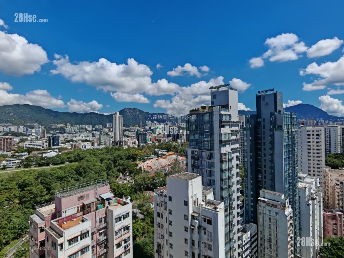 加多利轩 租盘 1 房 , 1 浴室 226 平方尺