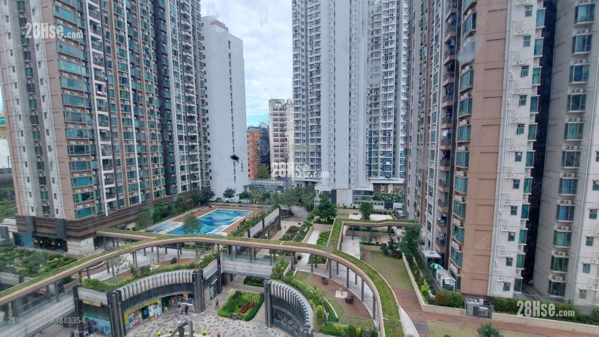 Yuccie Square Rental 2 Bedrooms , 1 Bathroom 427 ft²
