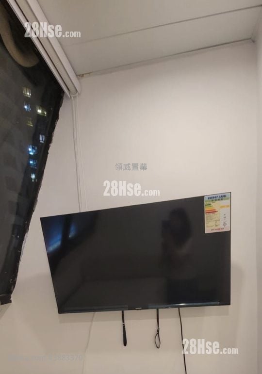 Apartment Rental Studio , 1 Bathroom 120 ft²