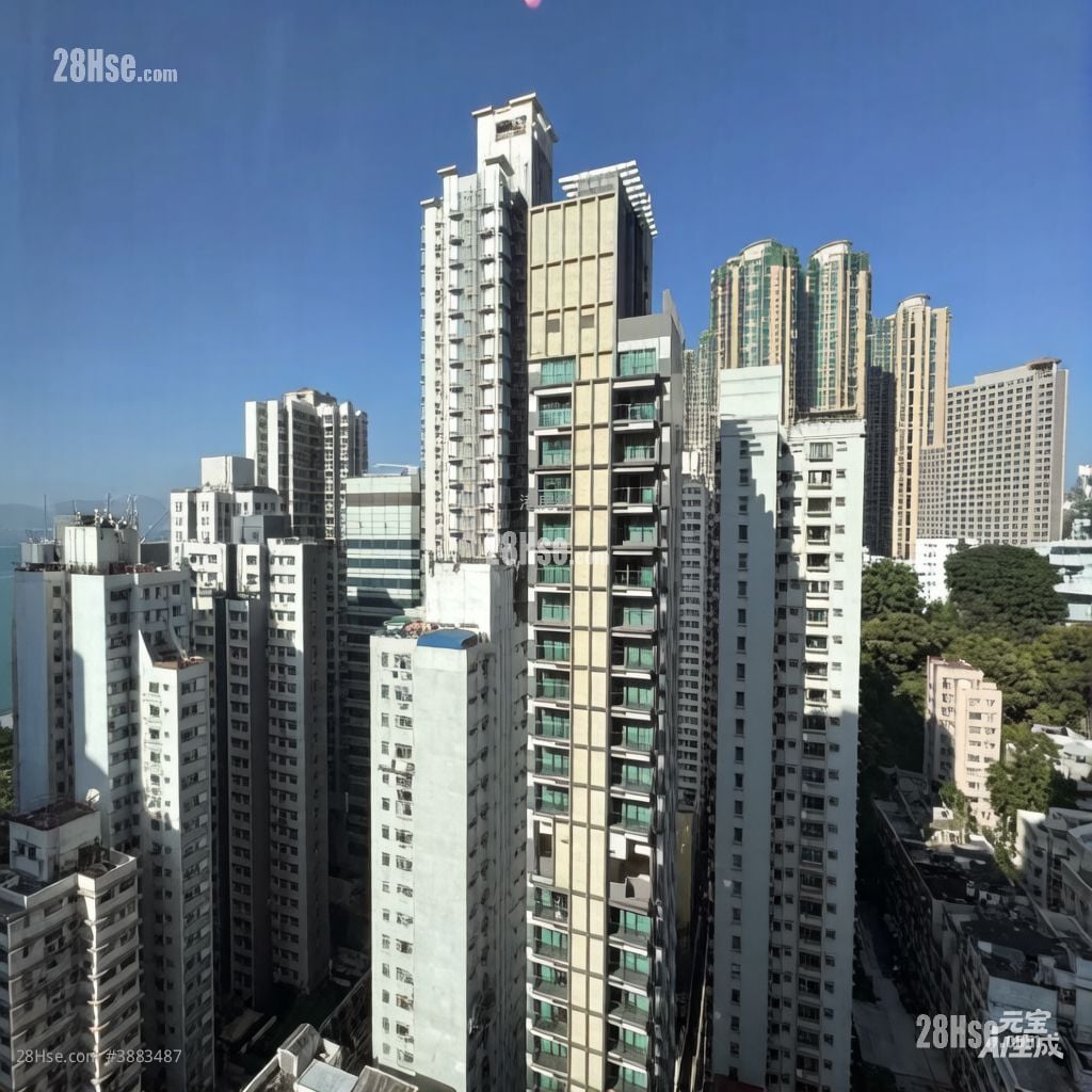 堅尼地道38號 租盤 開放式間隔 , 1 浴室 260 平方呎