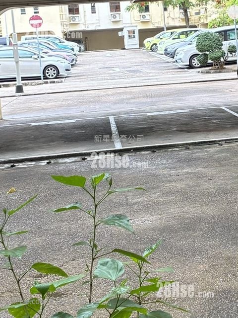 Fanling Garden Rental