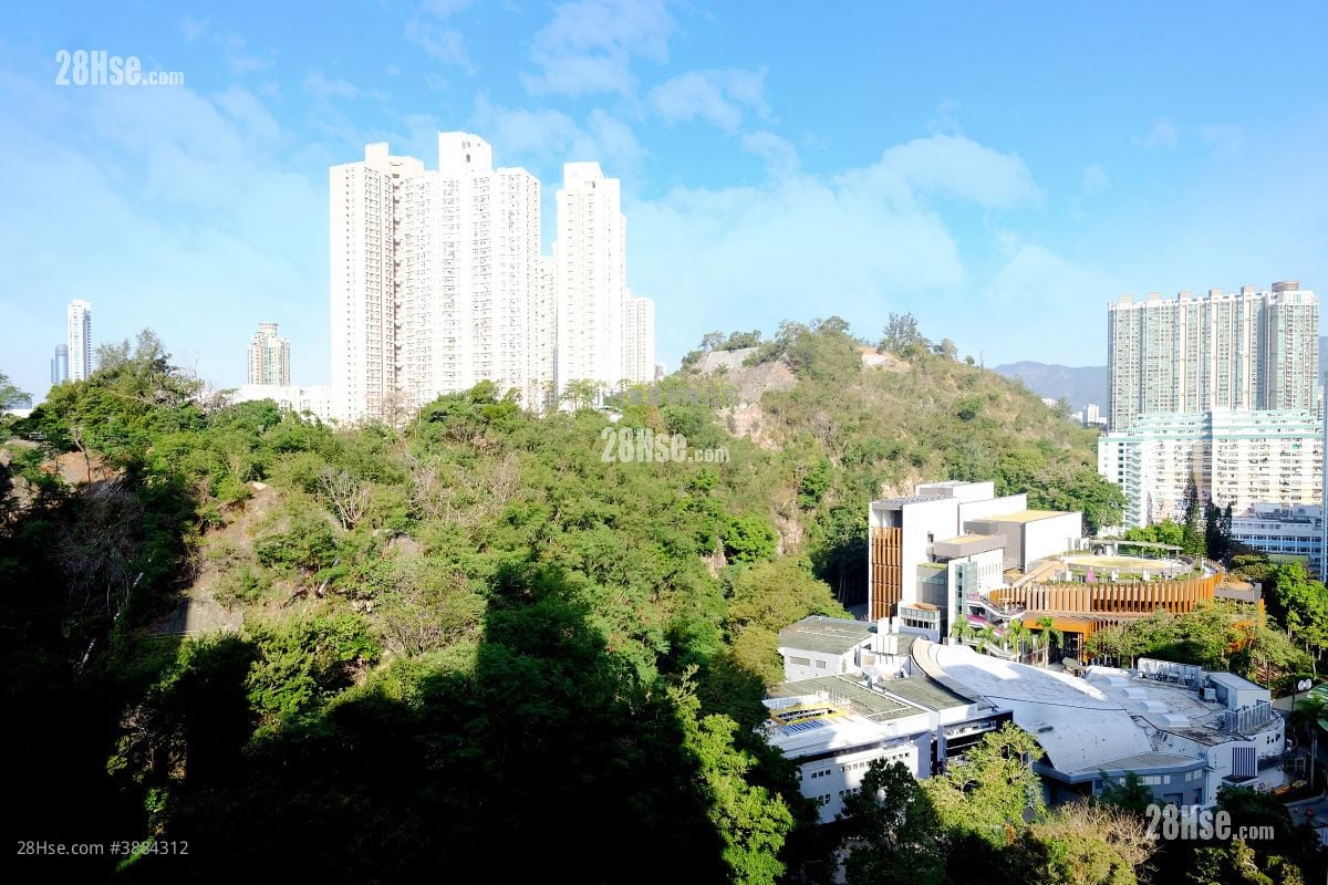 景觀: 高山18 租盤 1 房 , 1 浴室 319 平方呎
