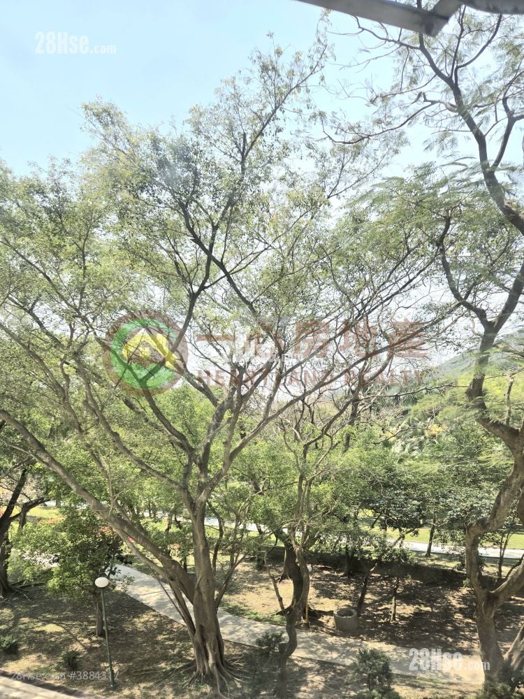美樂花園 售盤 2 房 , 1 浴室 589 平方呎