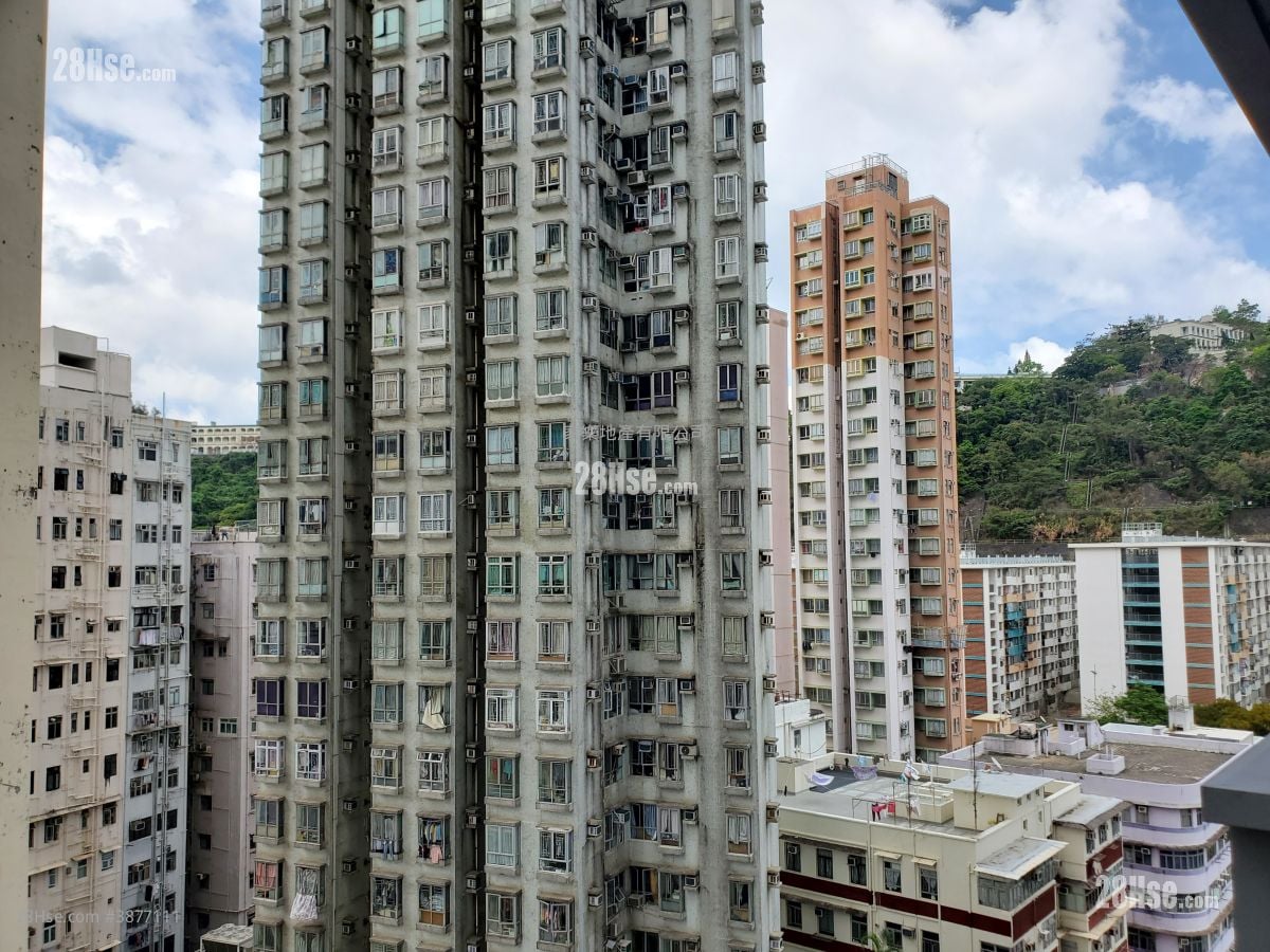 形荟 租盘 开放式间隔 , 1 浴室 332 平方尺