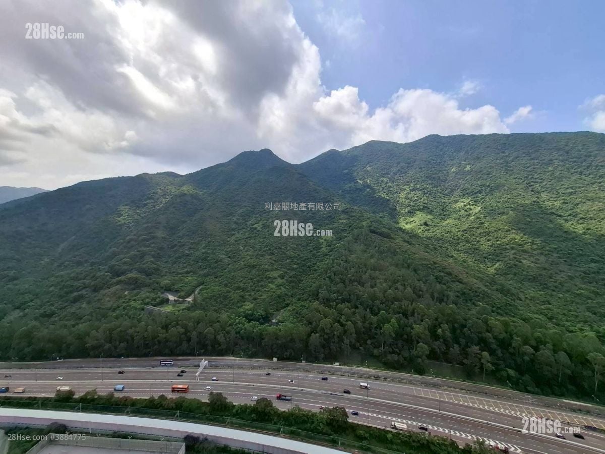 映湾园 租盘 2 房 550 平方尺