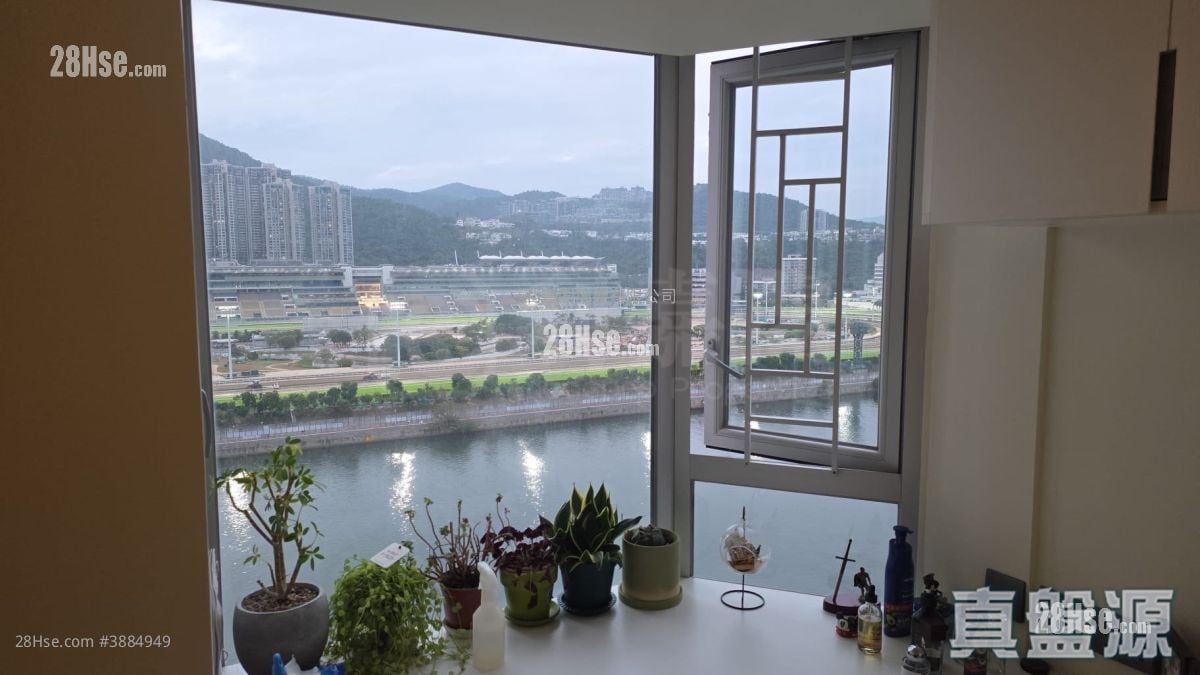 Pictorial Garden Sell 2 Bedrooms , 2 Bathrooms 702 ft²