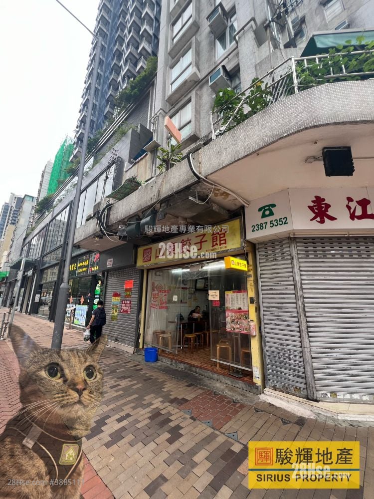东宁大厦 租盘 开放式间隔
