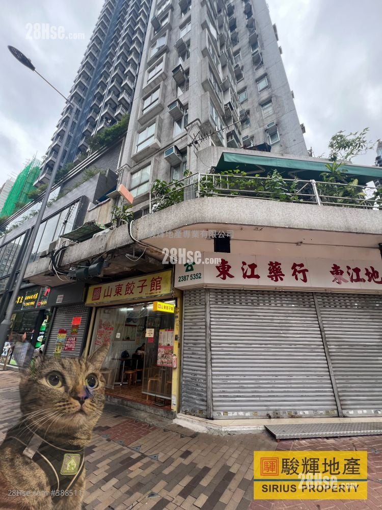 东宁大厦 租盘 开放式间隔