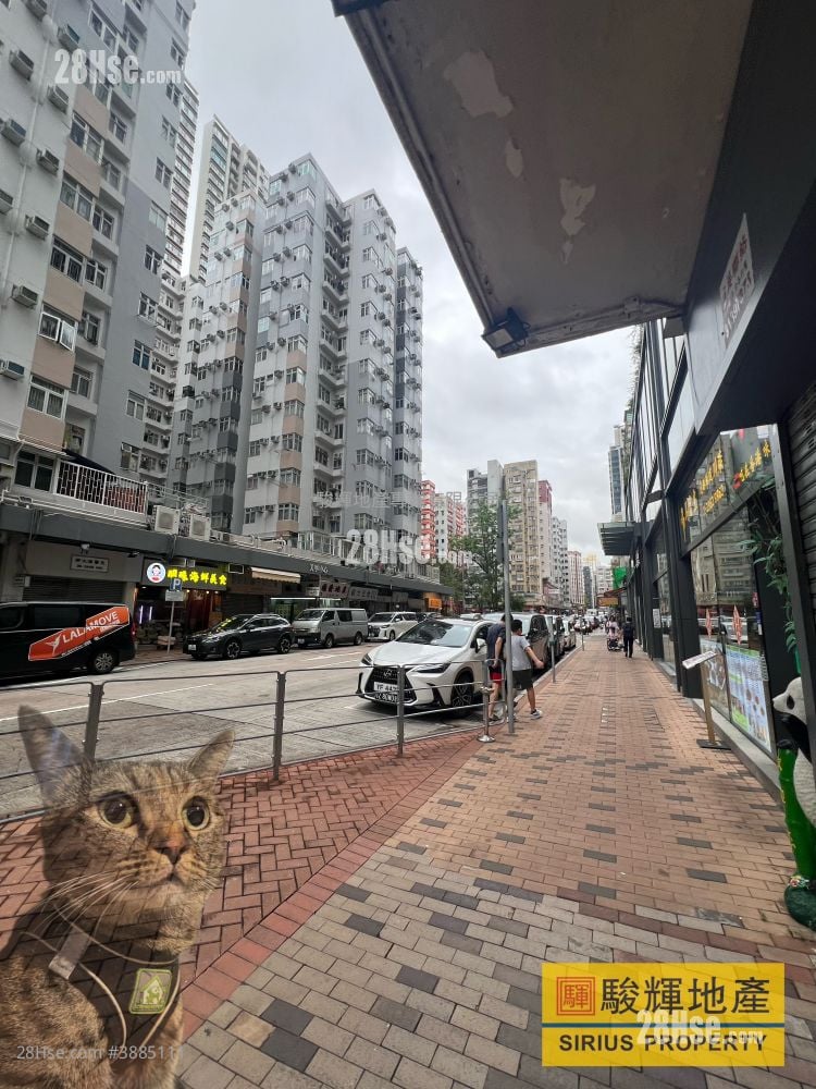 东宁大厦 租盘 开放式间隔