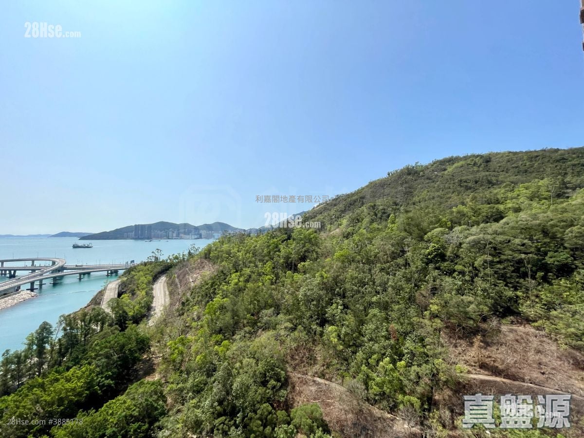 維景灣畔 租盤 2 房 , 1 浴室 504 平方呎