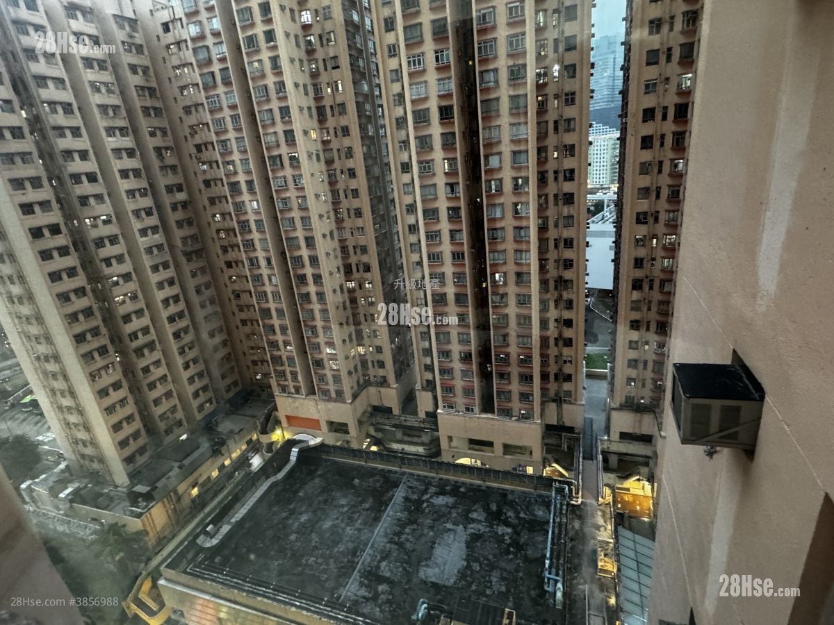 Amoy Gardens #3856988 Rental Property Detail Page - Meer