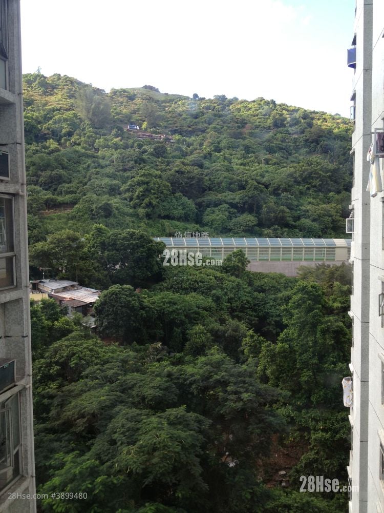 Belvedere Garden #3899480 For Sale Property Detail Page - Widok 2