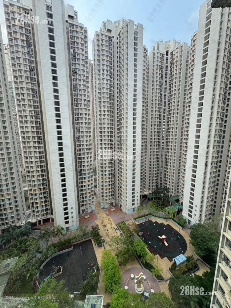 Tin Chung Court #3900300 For Sale Property Detail Page - Ansicht 6