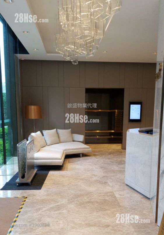Vibe Centro #3900858 Rental Property Detail Page - Vue 2