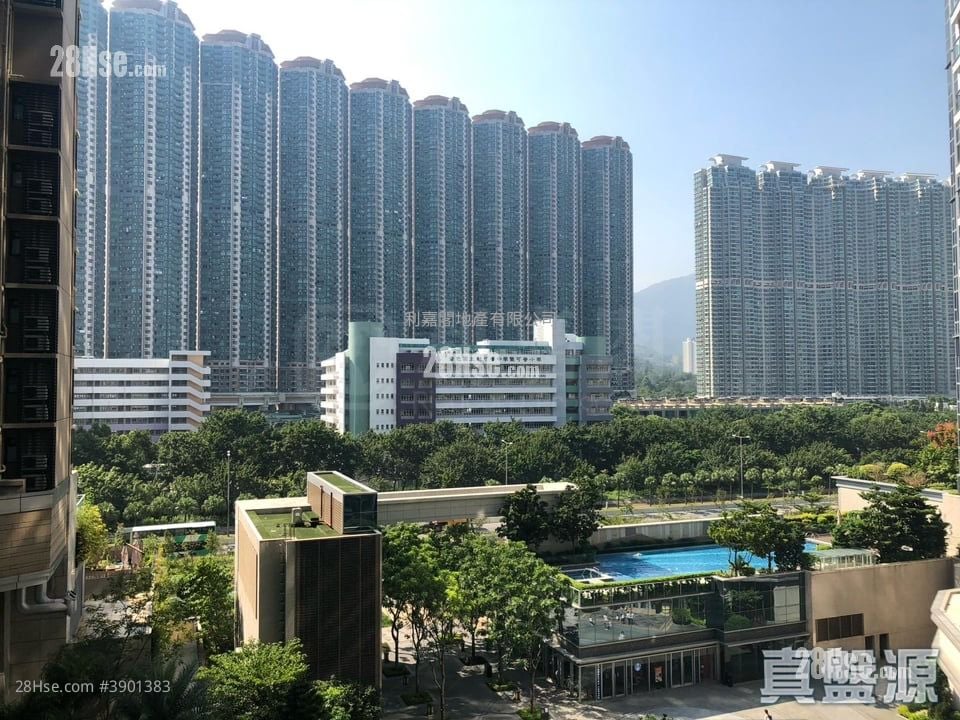 Century Link Sell 2 Bedrooms 480 ft²