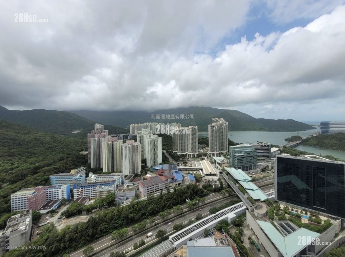 Coastal Skyline Rental 1 Bedroom 441 ft²