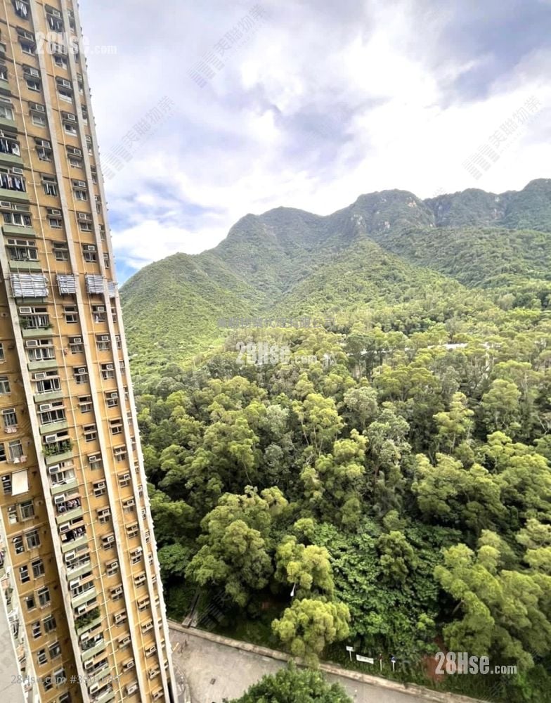 Kam Ying Court #3901680 For Sale Property Detail Page - Więcej