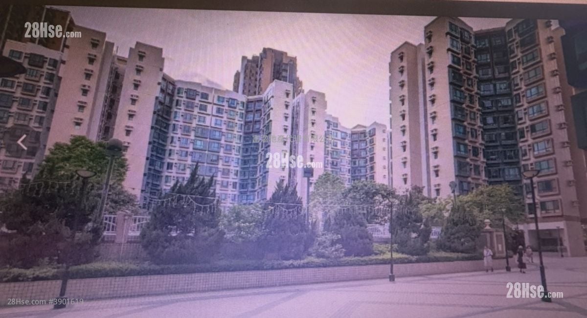 Grand Del Sol Rental