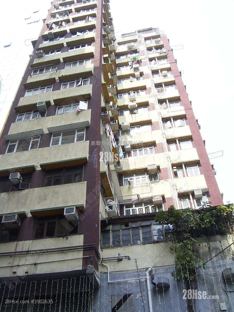 Pine Tree Building #3902635 Rental Property Detail Page - Więcej