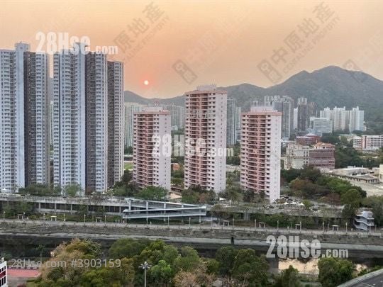 T Plus Sell Studio 169 ft²