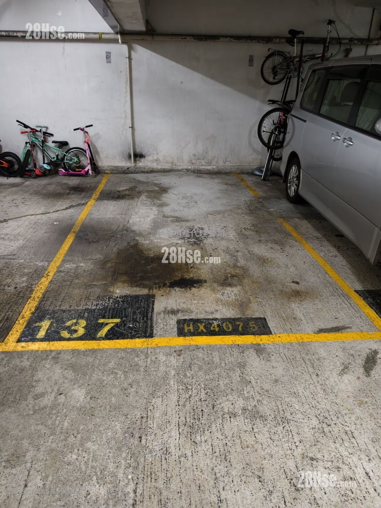Handsome Court Rental