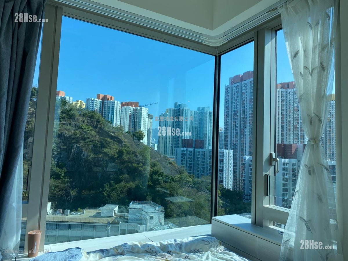 Madison Park #3477474 Rental Property Detail Page - Mehr