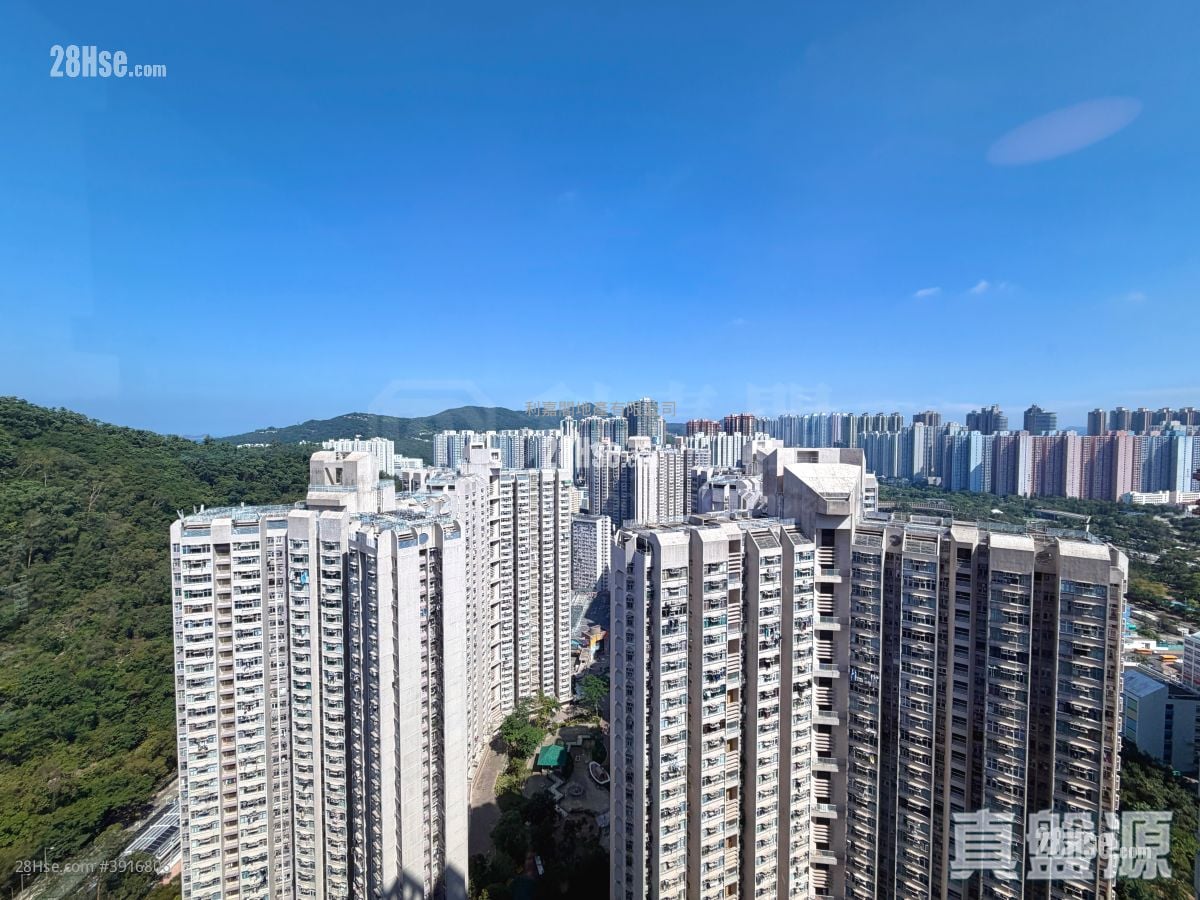Metro City #3916806 Rental Property Detail Page - Widok 3