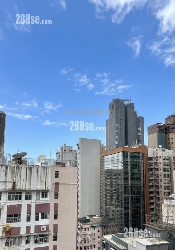 King Man Court #3917918 Rental Property Detail Page - Widok 5
