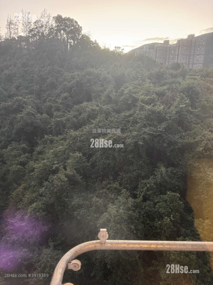 Kin Yip Building #3919389 Rental Property Detail Page - Vue 6