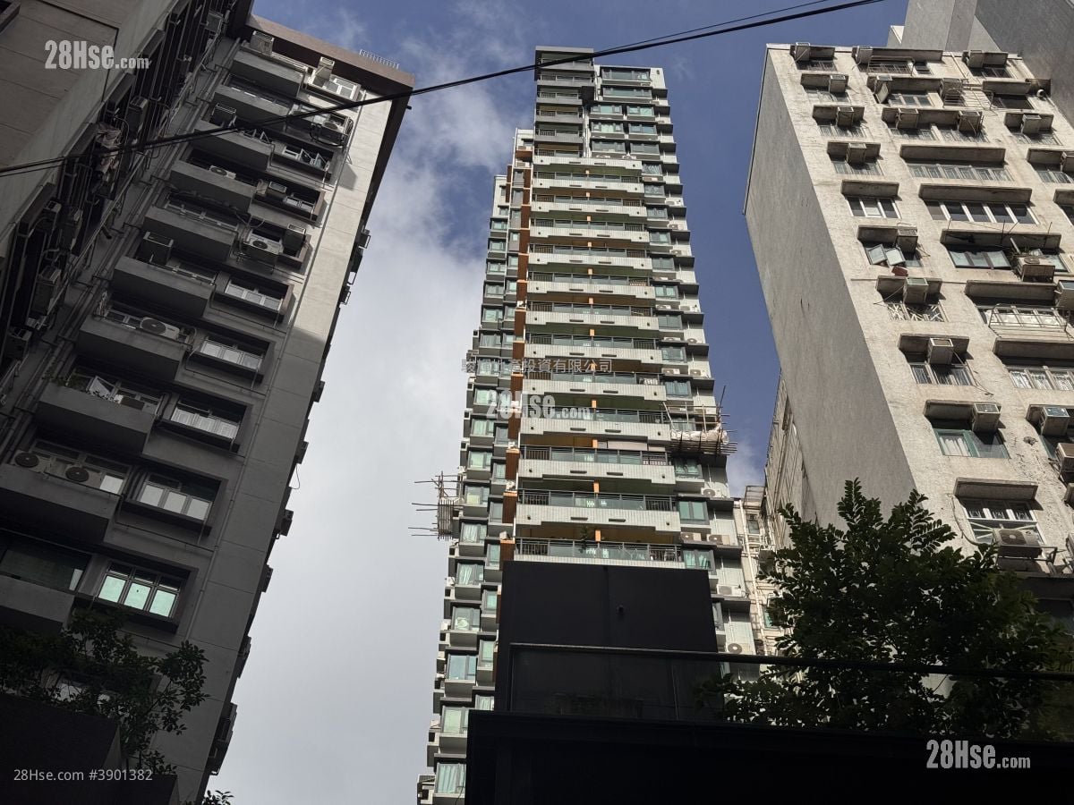 City 18 #3901382 Rental Property Detail Page - Widok 3