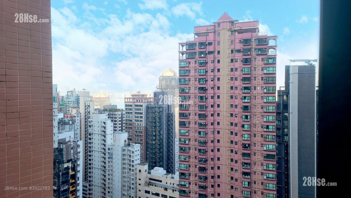 Peach Blossom #3922783 Rental Property Detail Page - Fler