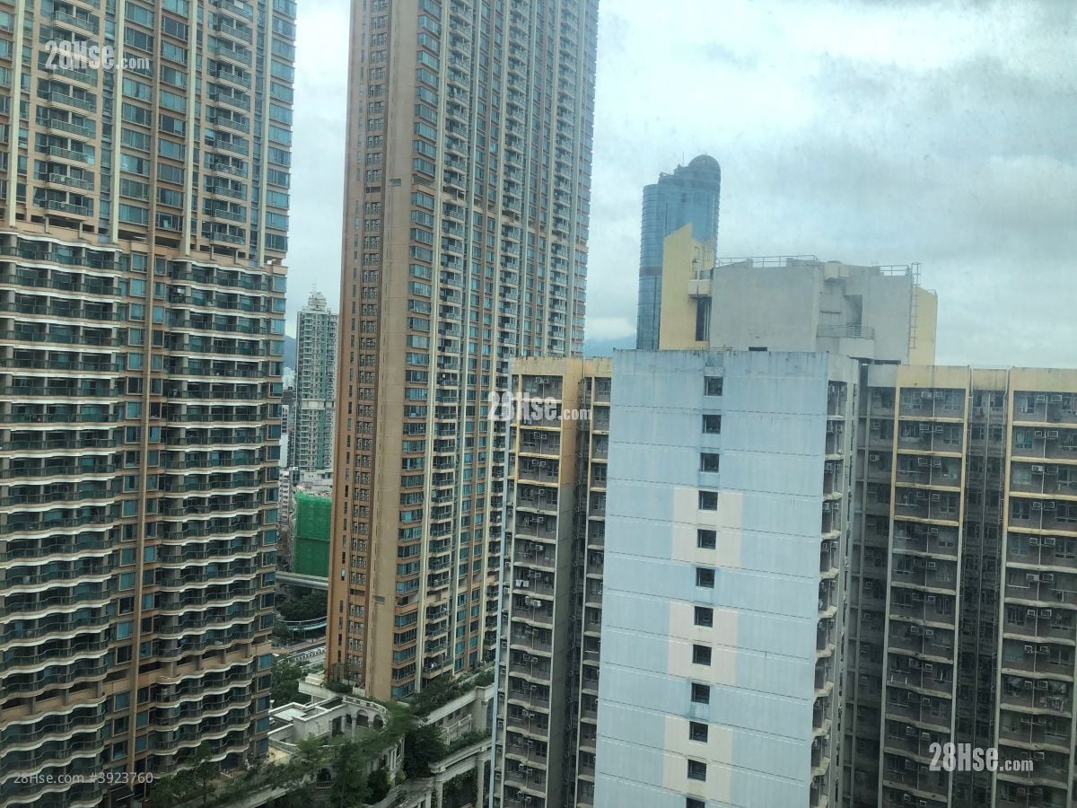 Park Avenue #3923760 Rental Property Detail Page - Vista 3