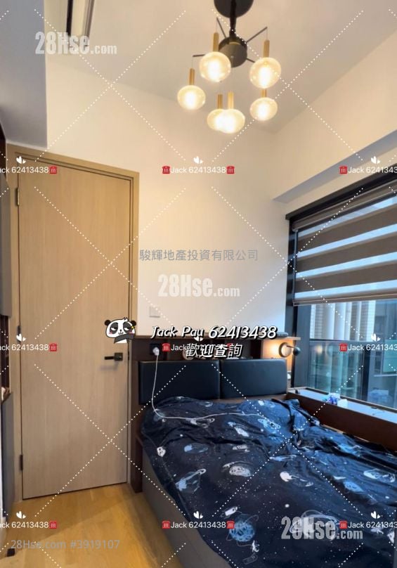 The Amused #3919107 Rental Property Detail Page - Vista 6